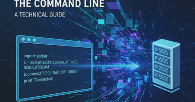 How to establish socket connection using the command line