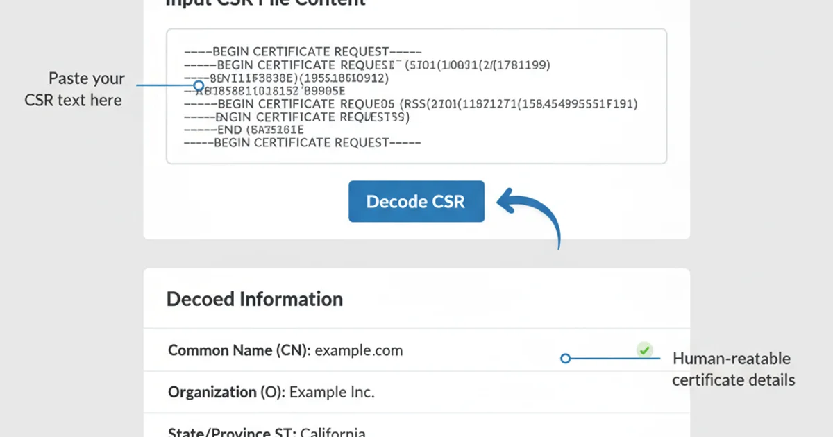 Screenshot of an online CSR decoder tool with a text area for input and decoded output.