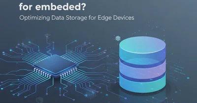 Where can I store (and manage) Application license information?