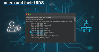 Java Ordering a map or list