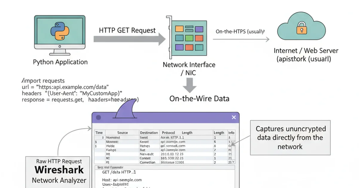Diagram showing a Python application sending an HTTP request, passing through a network interface, and being intercepted by Wireshark.