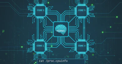 Differences between C++ string == and compare()?